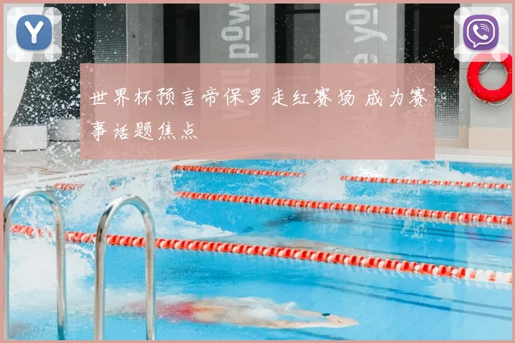 世界杯预言帝保罗走红赛场 成为赛事话题焦点