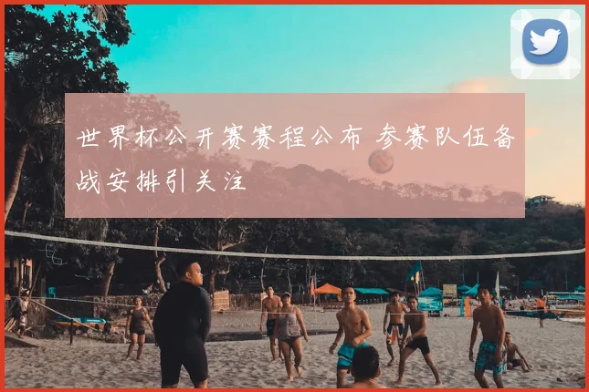 世界杯公开赛赛程公布 参赛队伍备战安排引关注