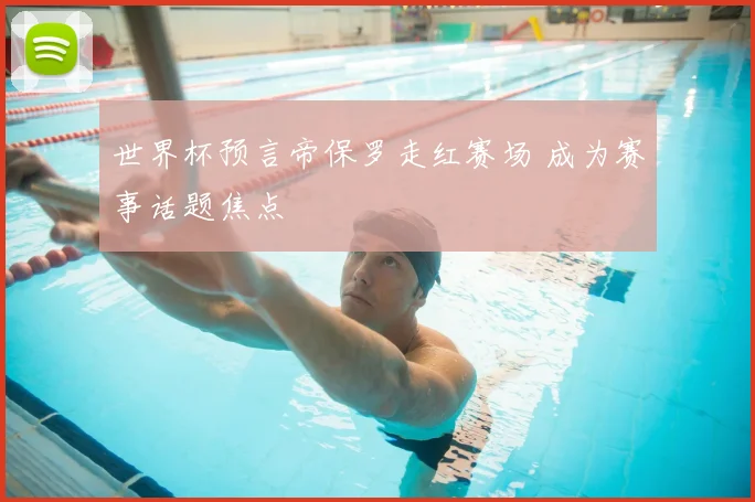 世界杯预言帝保罗走红赛场 成为赛事话题焦点