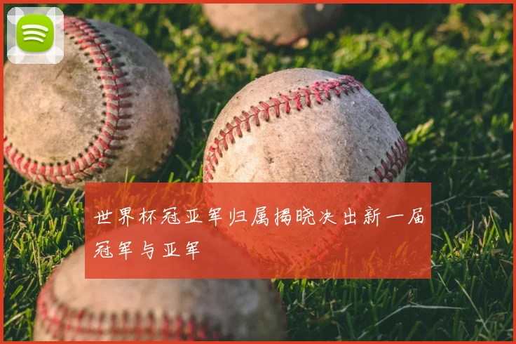 世界杯冠亚军归属揭晓决出新一届冠军与亚军