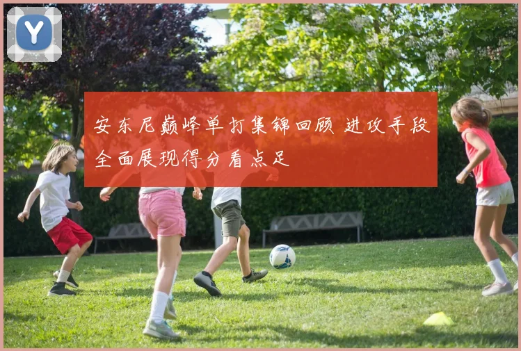 安东尼巅峰单打集锦回顾 进攻手段全面展现得分看点足